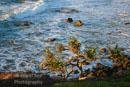 Pandanas Sunrise, Sunshine Coast